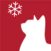 dessin d'un chat regardant un flocon de neige